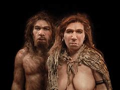 Image result for Neanderthals vs Modern Humans