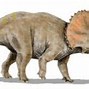 Image result for Biggest Dinosaur Size Clip Art