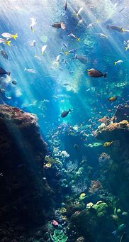Image result for Underwater Aesthetic Wallpaper