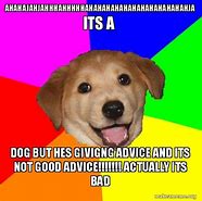 Image result for Bad Advice Dog Meme