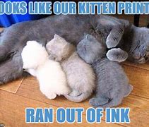 Image result for Cat Ink Meme