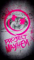 Image result for Project Mayhem
