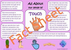Image result for Sense of Touch Animation