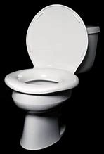 Image result for Extra Large Toilet Seat