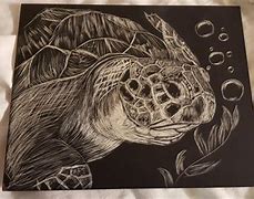 Image result for Turtle Scratch Art