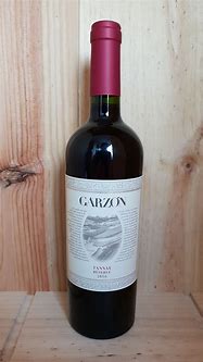 Image result for Garzon Cabernet Franc Tannat