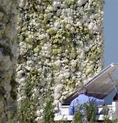 Image result for Flower Wall Kim Kardashian