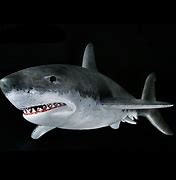 Image result for Great White Shark Toys