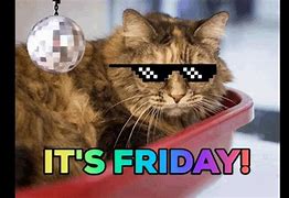 Image result for Happy Friday Cat Images Funny