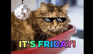 Image result for Happy Friday with Cats Meme