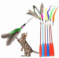 Image result for Funny Cat Stick