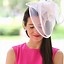 Image result for Kentucky Derby Style