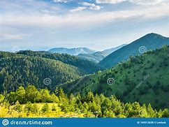 Image result for Woods of Serbia