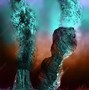 Hydrothermal 的图像结果