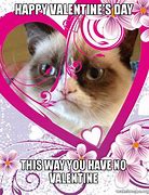 Image result for Grumpy Cat Valentine's Day