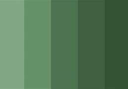 Image result for Dark Green Color Palette
