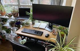 Image result for Best Work From Home Office Setup