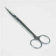 Image result for Stainless Steel Lab Scissors