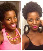 Image result for Natural 4C Protective Hairstyles