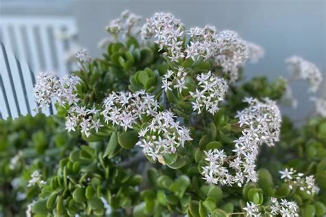Image result for Math 3 Repeating Pattern