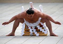 Image result for Japanese Sumo Wrestling Kids