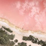 Image result for Pink iPad Pro Wallpaper