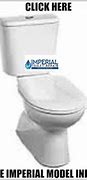 Image result for Parts of a Dual Flush Toilet