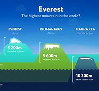 Image result for How Tall Is 14 Meters