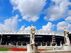 Image result for Rome Olympic Stadium