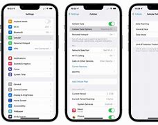 Image result for iPhone Mobile Data Remainng Settings