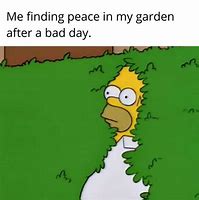 Image result for Garden Humor Quotes