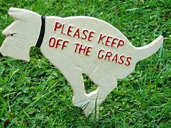 Image result for Keep Dogs Off Grass Signs