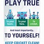 Image result for Keep Off Square Cricket