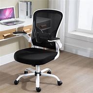 Image result for Mesh Back Support for Office Chair