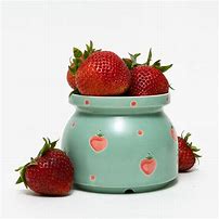 Image result for Ceramic Strawberry Pot