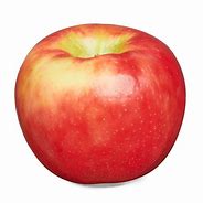 Image result for Honeycrisp Apple Fruit