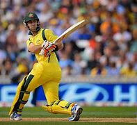 Image result for Cricket Images HD