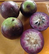 Image result for Purple Apple Fruit