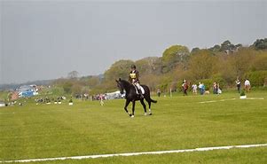 Image result for Dressage Saddles for Short Backed Horses