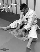 Image result for Traditional Martial Arts