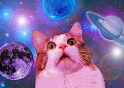 Image result for Cat Wallpaper Desktop Funny Space
