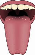 Image result for Tongue and Taste Buds