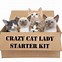 Image result for Crazy Cat Lady Stuff
