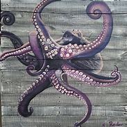 Image result for Purple Octopus Drawing