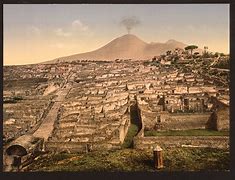 Image result for Pompeii Garden