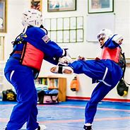Image result for The Best Martial Arts for Kids