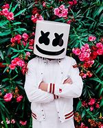 Image result for Marshmello Artist