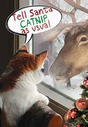 Image result for Funny Cat Christmas Card Sayings