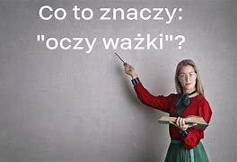 Image result for co_to_znaczy_zin