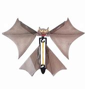 Image result for Flying Bat Toy